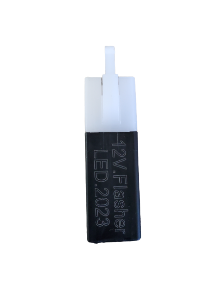 Centrale clignotante Trax evolution