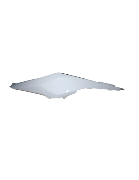 Flanc gauche blanc e-roadster/max