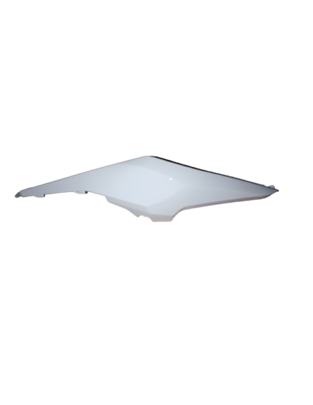 Flanc droit blanc e-roadster/max