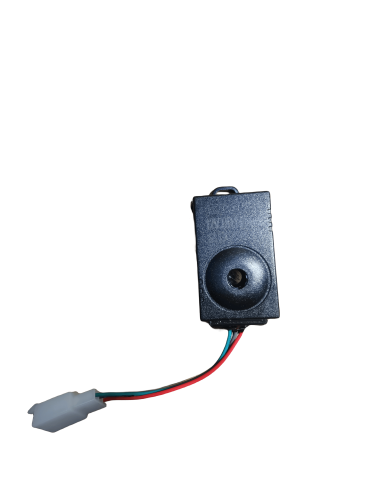 Centrale clignotant BW8 Heritage