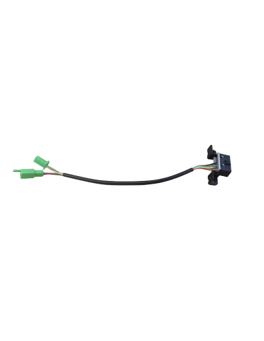 Prise OBD BW8 Heritage