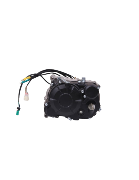 3000W motor (1st generation)