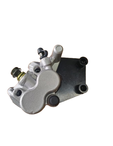 Rear brake caliper assembly
