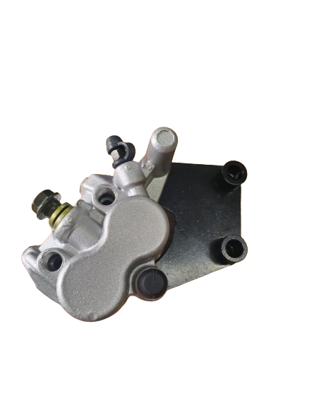 Rear brake caliper assembly