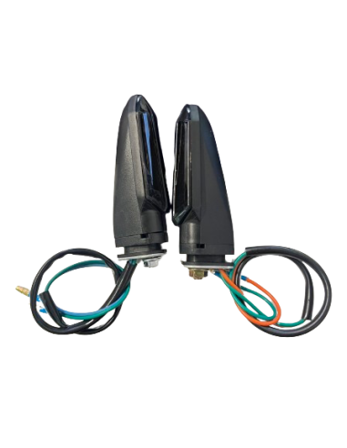 Paire de clignotant arrière RW6