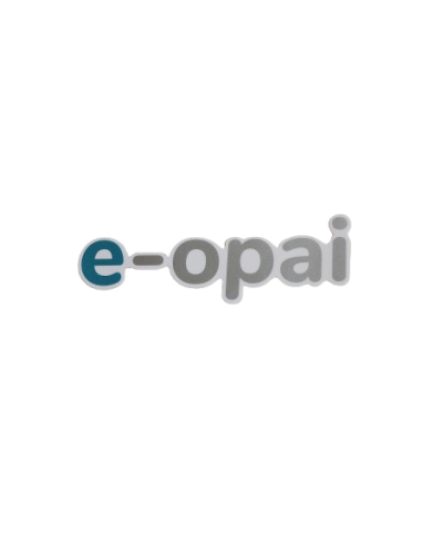 E-opai sticker blue/metallic grey