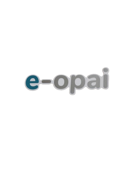 E-opai sticker blue/metallic grey