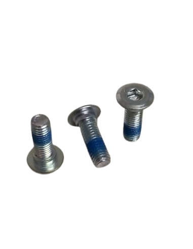 Vis de disque de frein e-coral