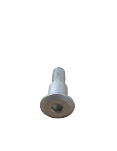 The screw for side stand Hurricane