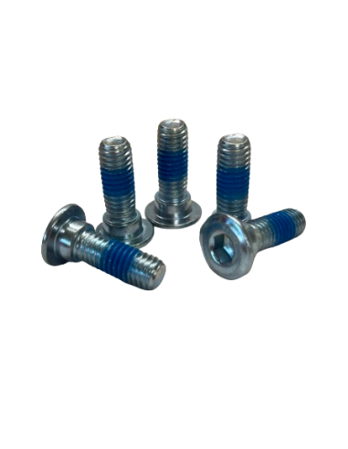 Front brake disc screw RW6