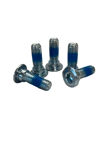 Front brake disc screw RW6