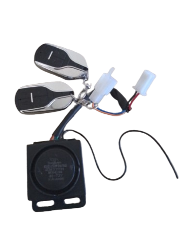 Anti-theft alarm e-Odin