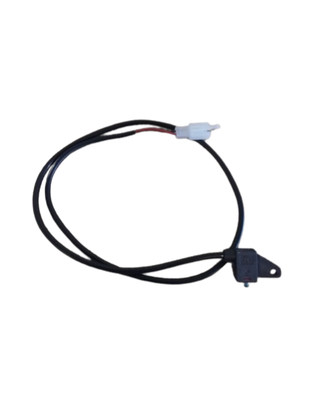 Brake switches right e-Odin