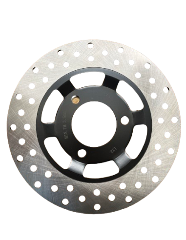 Rear Disc brake disc e-Odin