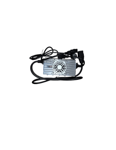 Charger (Li) Joe Reasonable + CAN Communication (220V)