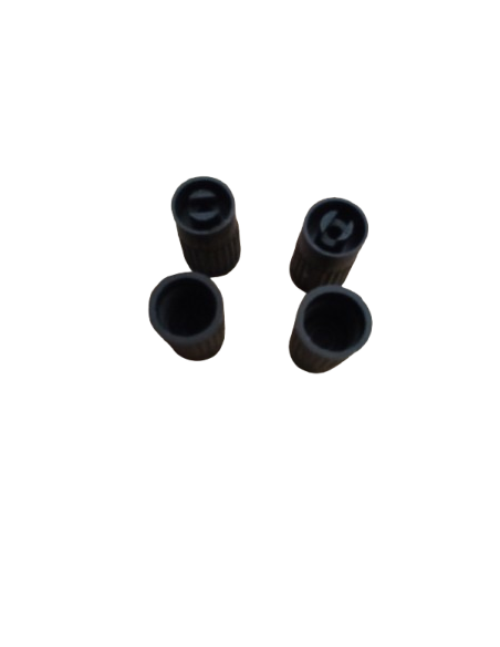 Valve Caps
