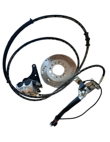 Rear brake disc ev2500