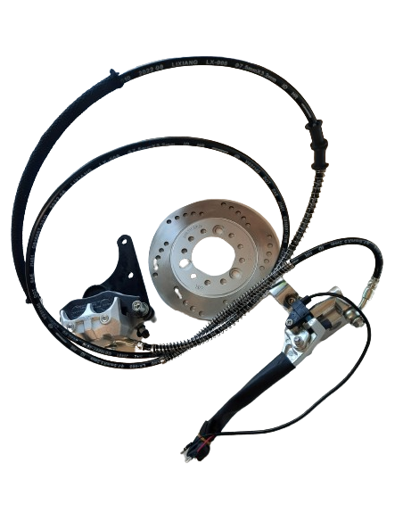 Rear brake disc ev2500