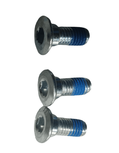 Brake disc bolt, rear tiger evolution