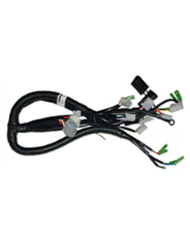 Faisceau electrique e-roadster  - 1