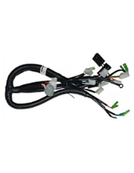 Faisceau electrique e-roadster  - 1