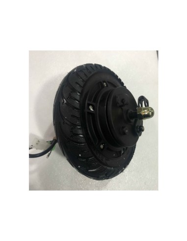 wheel hub motor with rim