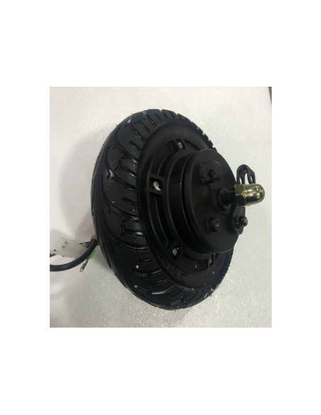 wheel hub motor with rim