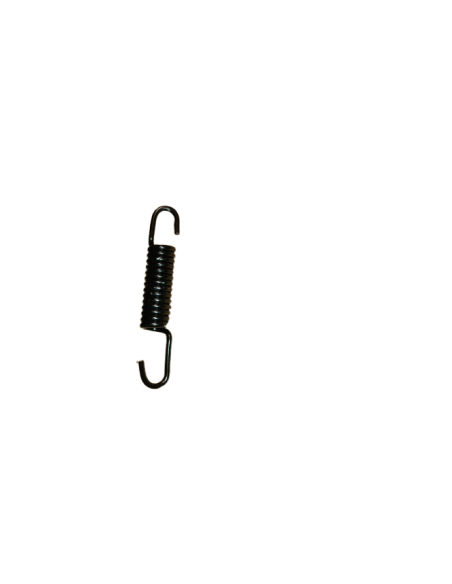 main stand spring happy  - 1