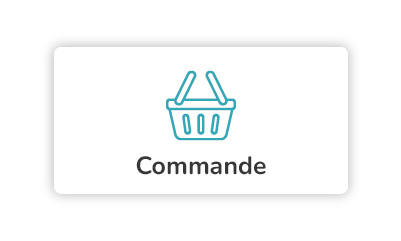 Commande-scooter-electrique